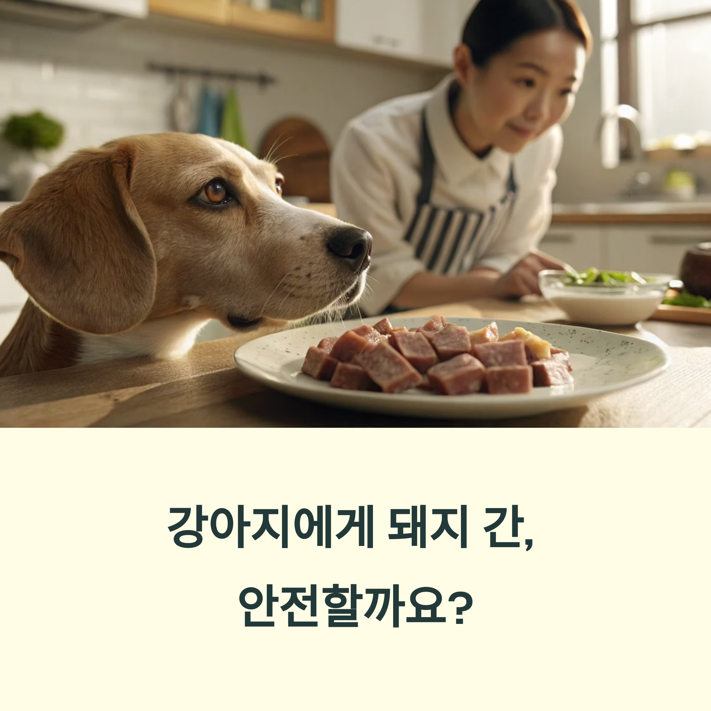 돼지 간 효능과 위험성