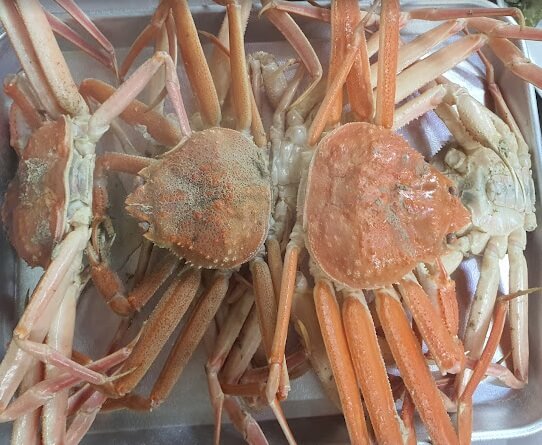 울진대게축제 주차장 프로그램 기간 이찬원 출연