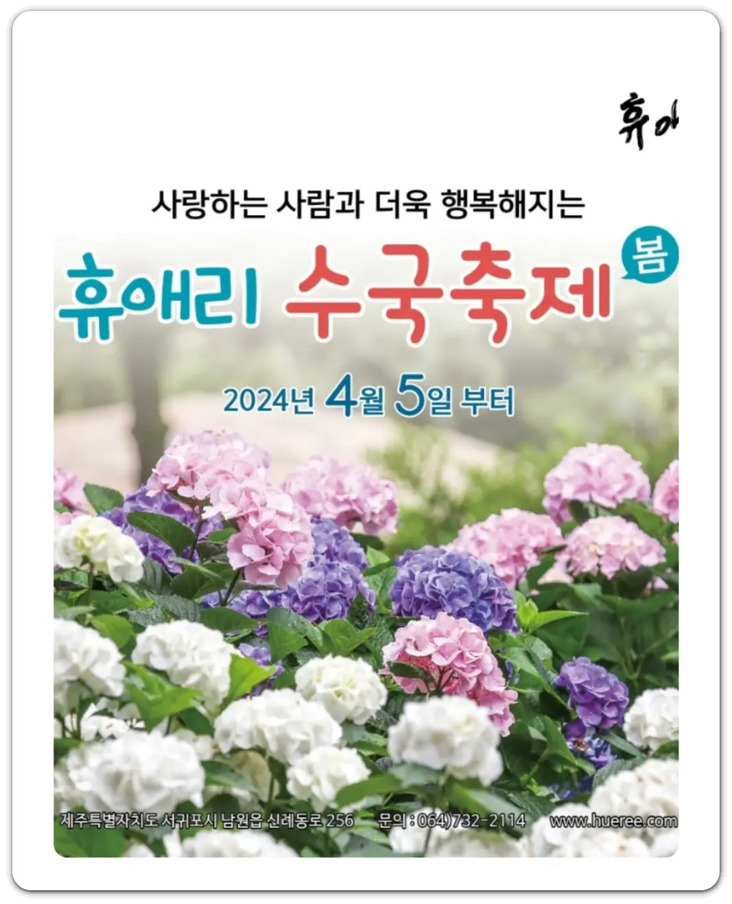 꽃-축제하는-곳-봄꽃-축제-일정