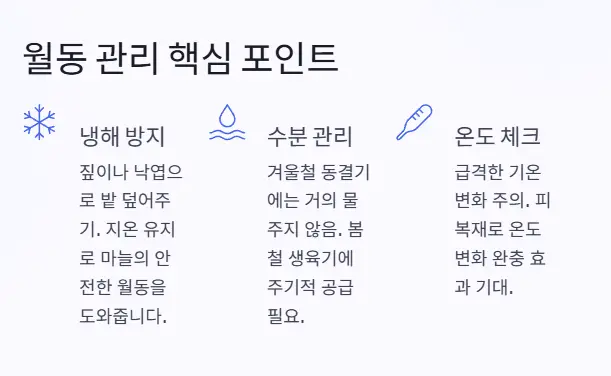 월동 관리
