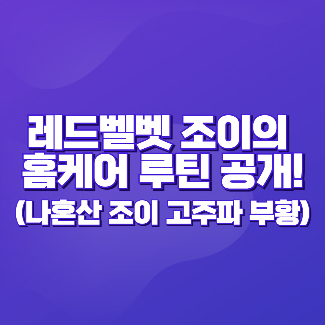 레드벨벳 조이의 홈케어 루틴 공개! (나혼산 조이 고주파 부황)