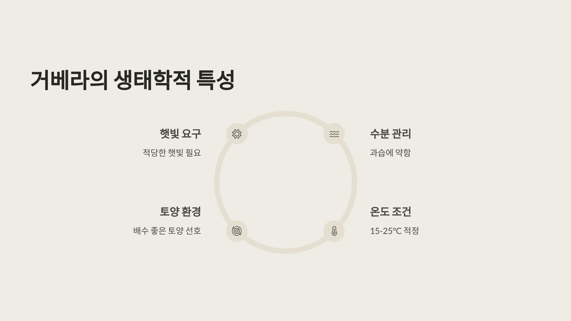 거베라 꽃말