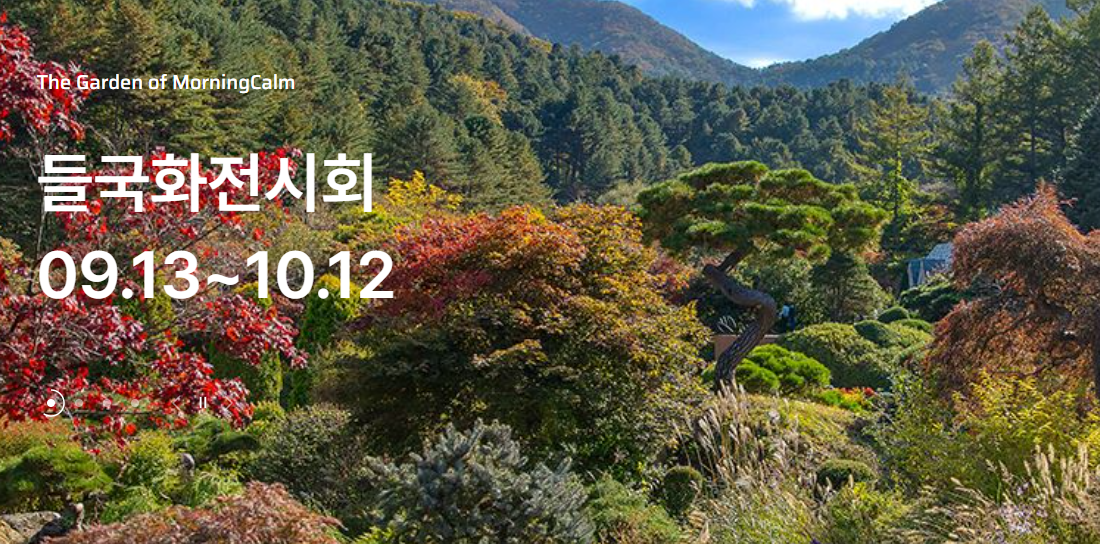 가을 단풍과 꽃 산책 연인 데이트 명소 아침고요수목원