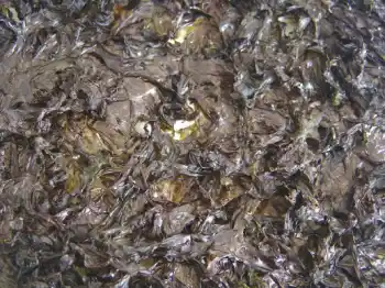 곱창김 가격 및 효능&amp;#44; 영양성분