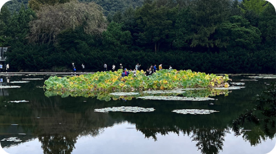 벽초지수목원 가을국화축제 감동의공간 이미지/ 출처: 벽초지수목원 홈페이지 