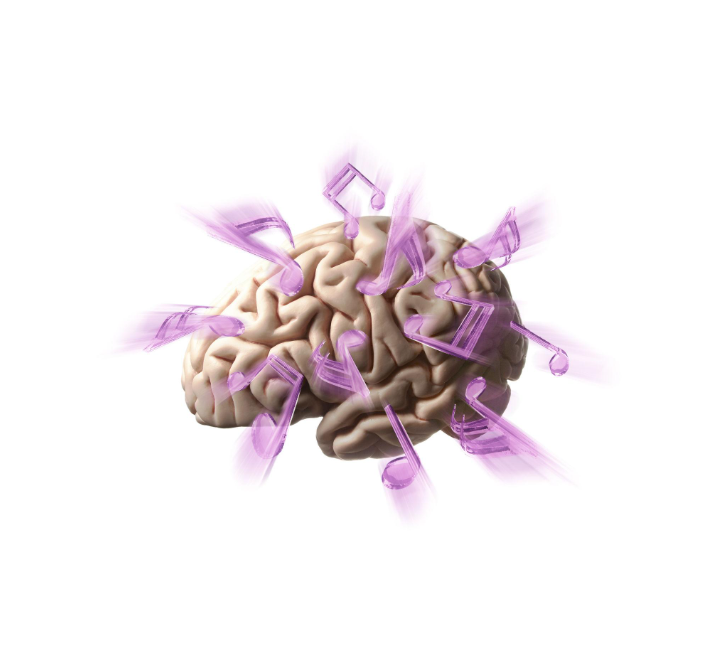 뇌과학 관련 그림