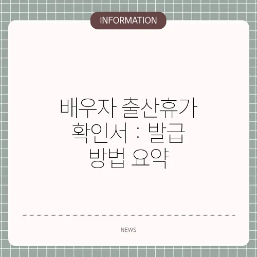 배우자 출산휴가 확인서 : 발급 방법 요약