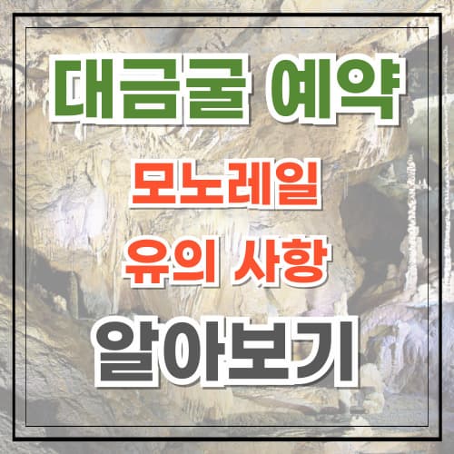 대금굴 예약 모노레일 유의 사항 알아보기