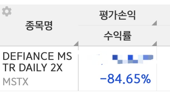 스트레티지 레버리지 마이나스 수익률