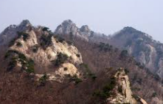 계룡산 등산코스