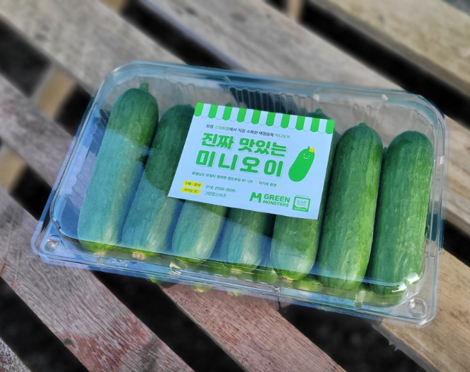 6시내고향 충남 보령 벼루 오이 주꾸미 축제 청보리밭 관련 정보