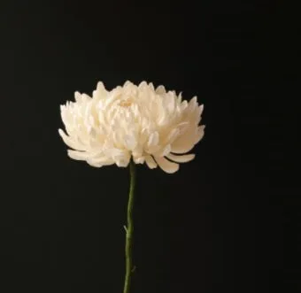 삼가고인의명복을빕니다의 뜻과 띄어쓰기 한문 표기_22