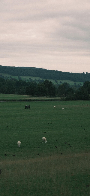 스마트폰 배경화면 잠금화면 자연 풍경 무료 다운로드