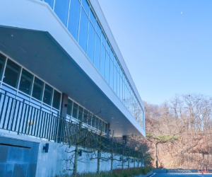 경기도 대형 카페