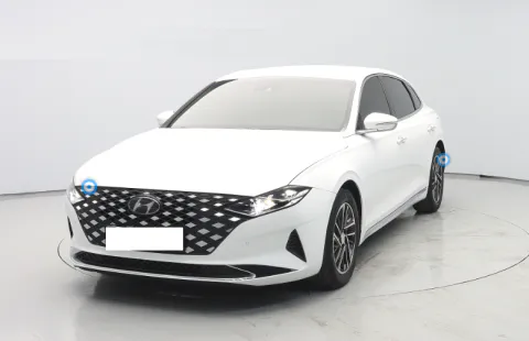 더뉴그랜저 화이트