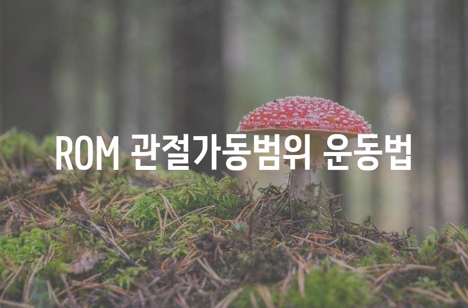 샘플 (42)