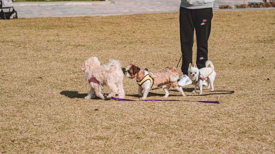 10월 경기 지역 가을 축제