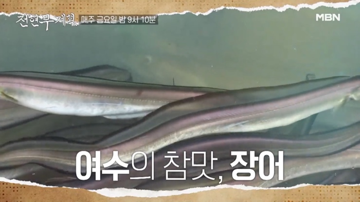 전현무계획 5회 여수 식당 리스트 : 여수 백반 맛집 간장게장, 장어 소금구이, 해변 슈퍼 라면 낭도 막걸리