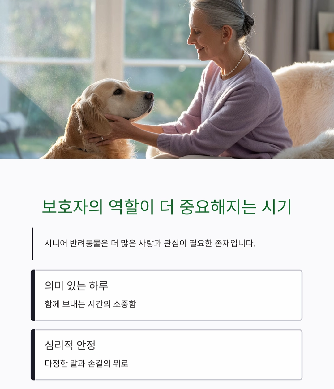 시니어 반려동물과 건강하게 오래 함께하는 방법