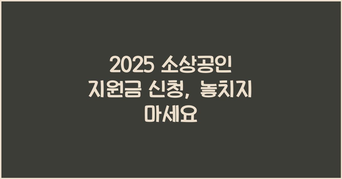 2025 소상공인 지원금 신청