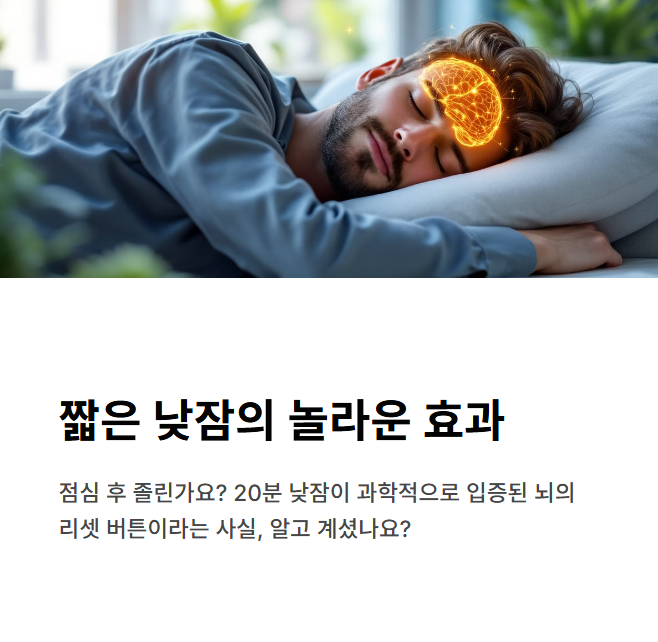 짧은-낮잠은-집중력을-향상시킬-수-있다