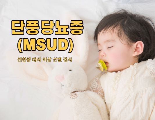 단풍당뇨증(MSUD) 완전 가이드: 원인부터 치료까지
