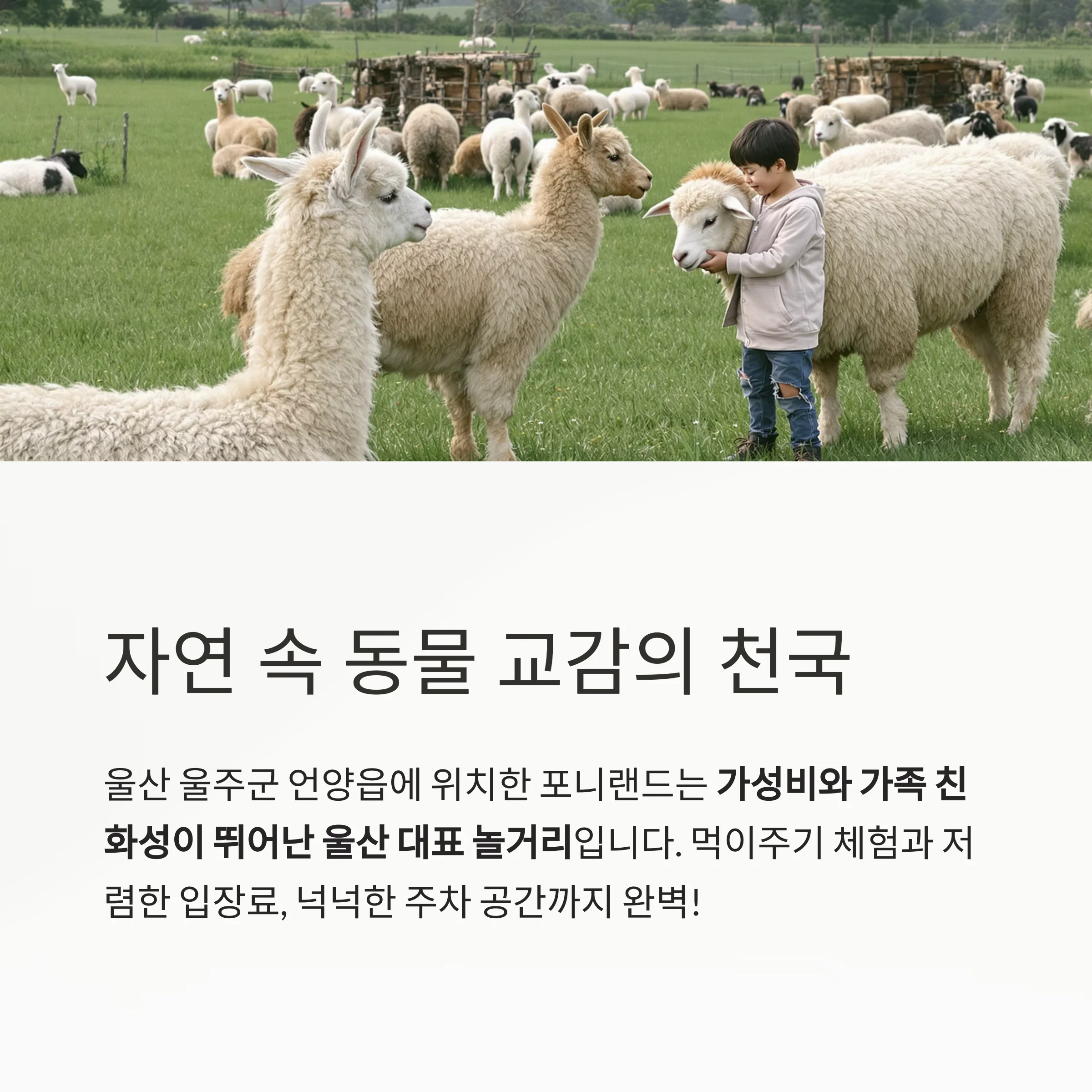 울산 언양 포니랜드 완전정복