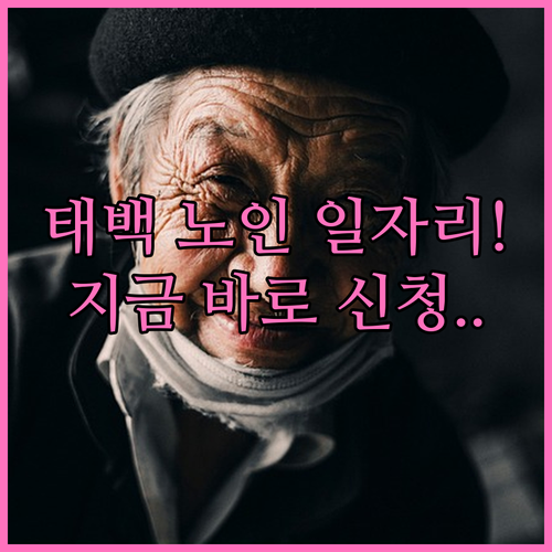 태백시 노인 일자리 신청 서류와 시니..