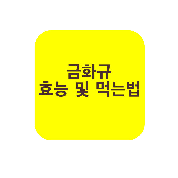 금화규-효능-파헤치기