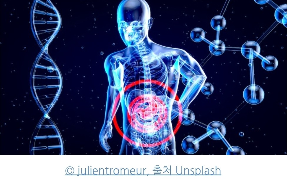 인체의-투명한-모습