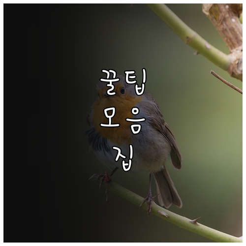 의왕청년든든 2025 초기 납입금 최..