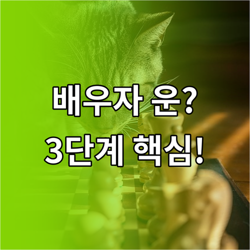배우자 운 콘텐츠 전략 페르소나 채널..