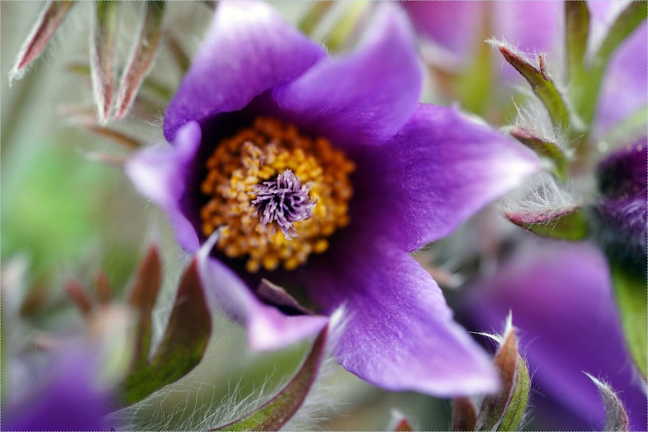 1억 은행 예금이자