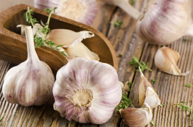 혈액 순환 개선 효과가 있는 마늘