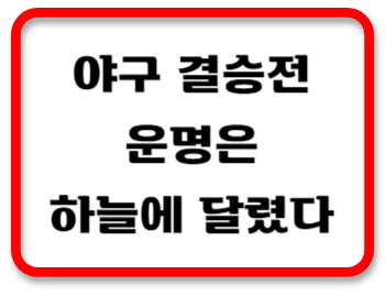 야구결승썸네일