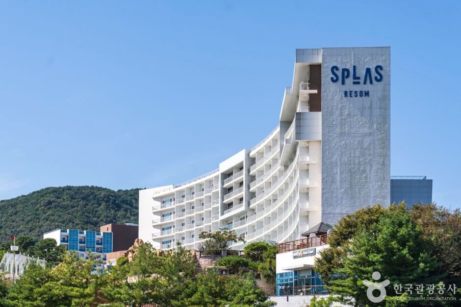 2월 여행하기 좋은곳 베스트 6