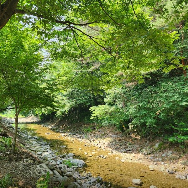 원더팜