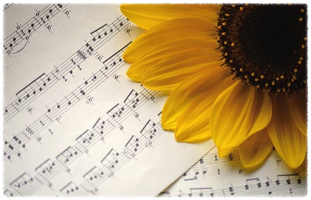 벨소리 설정 시 사용가능한 파일형식 안내