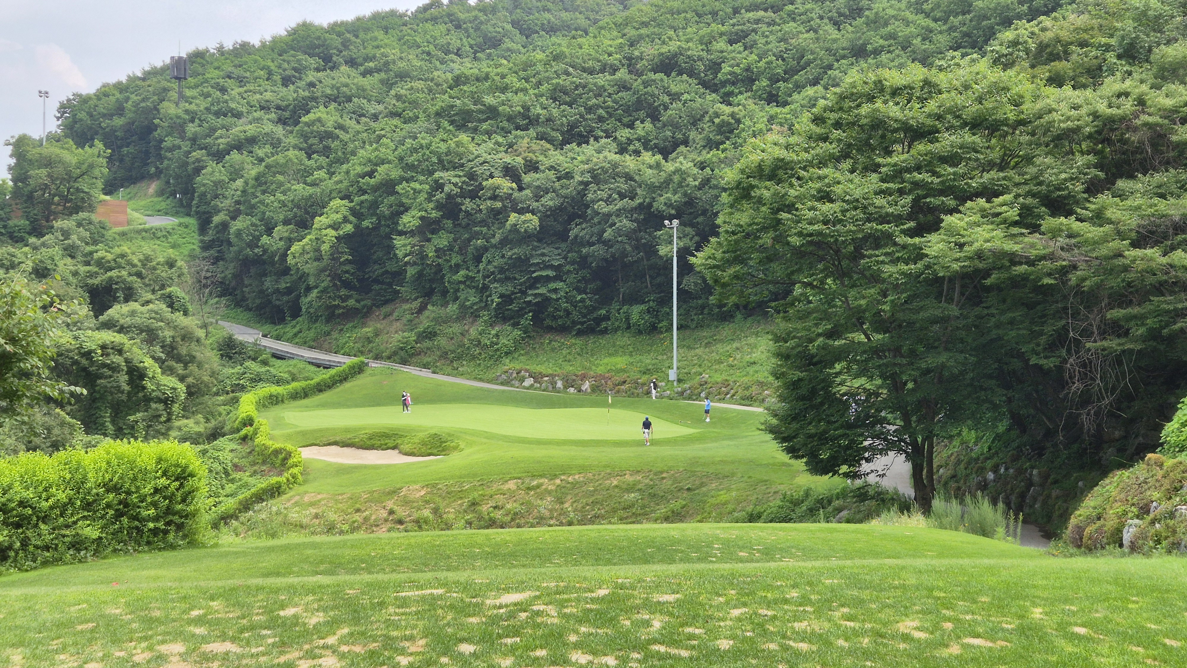 참밸리cc 밸리-퀸즈 코스 사진 및 공략 정보