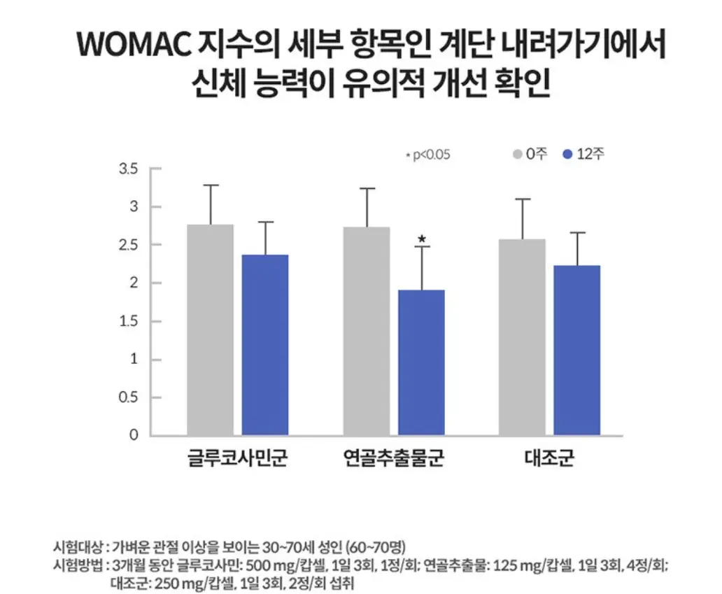 사진8