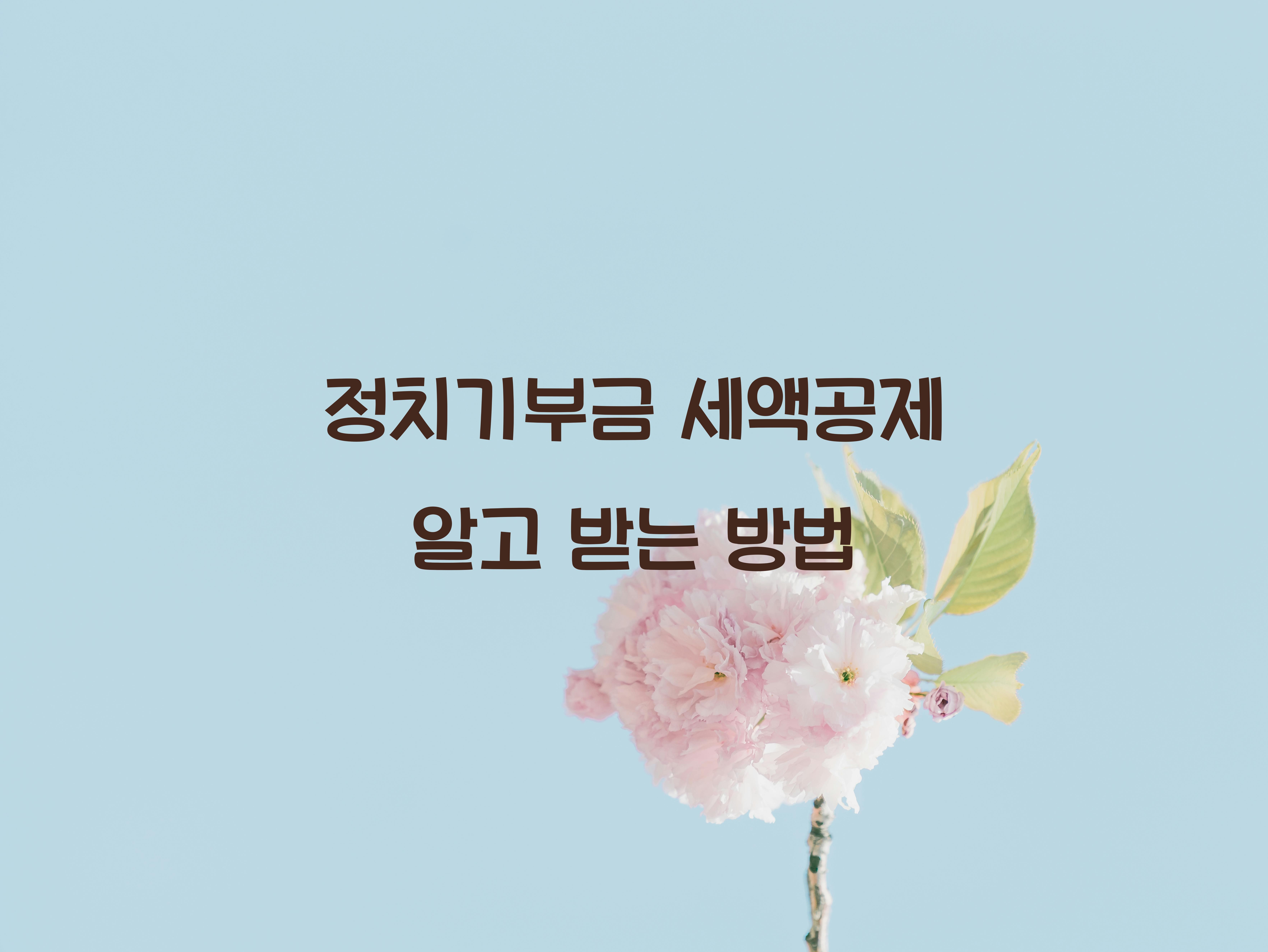 정치기부금