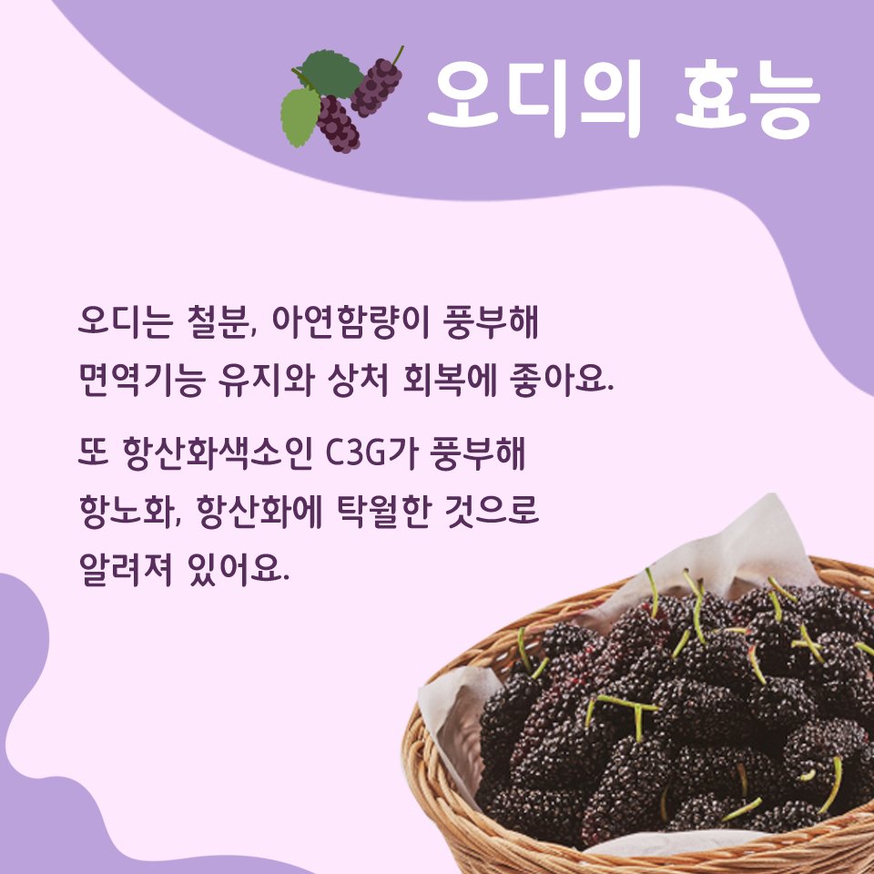 오디의 효능
