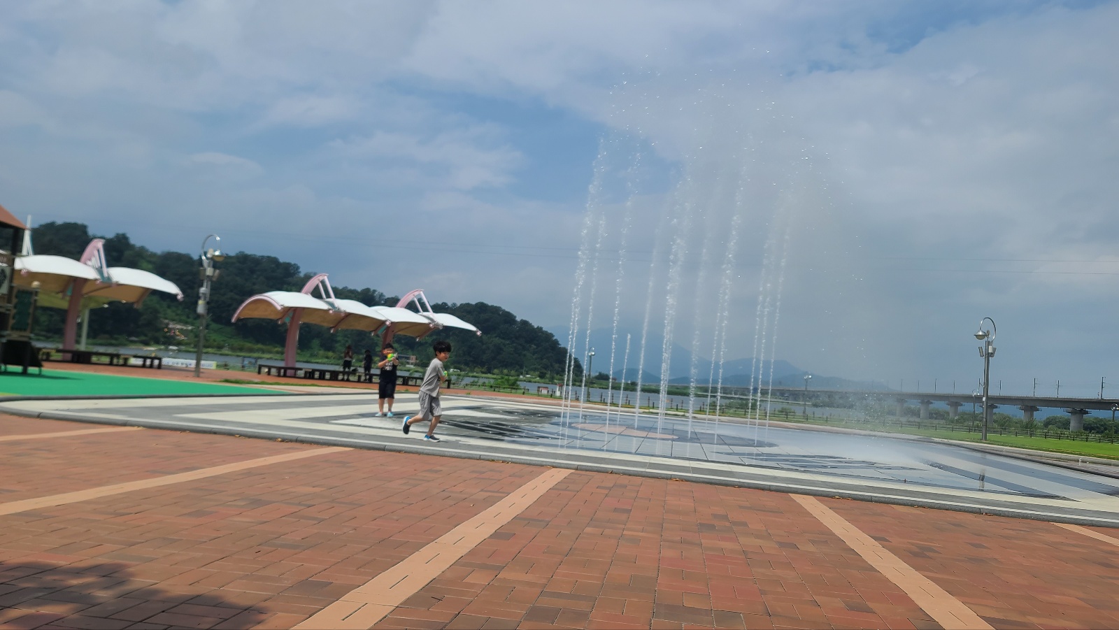 긴줄기