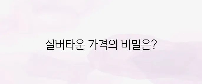 실버타운 가격 - 입주비용 및 월 생활비 총정리