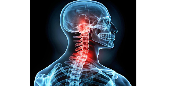 아르기닌이 풍부한 음식12