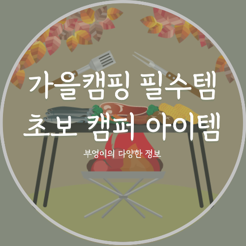 가을 캠핑 필수템 추천! 초보 캠퍼도 실패 없는 아이템