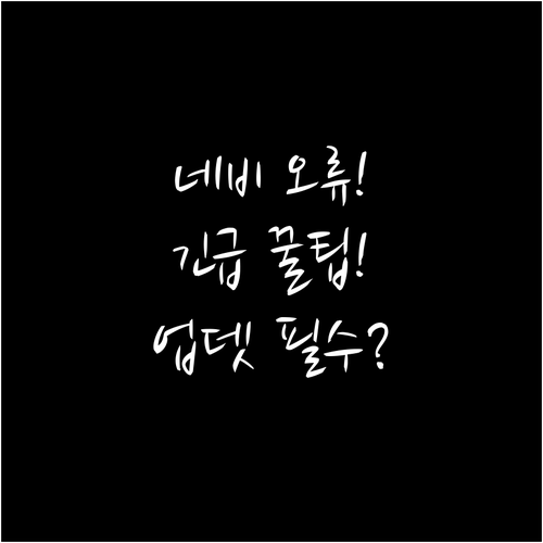 로디우스 네비게이션 업데이트 후 지도..