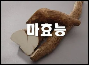 마 효능 보관법 먹는법 마즙 만들기까지 종합 가이드_10