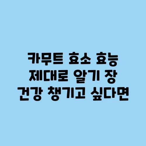 카무트 효소 효능 제대로 알기 장 건강 챙기고 싶다면