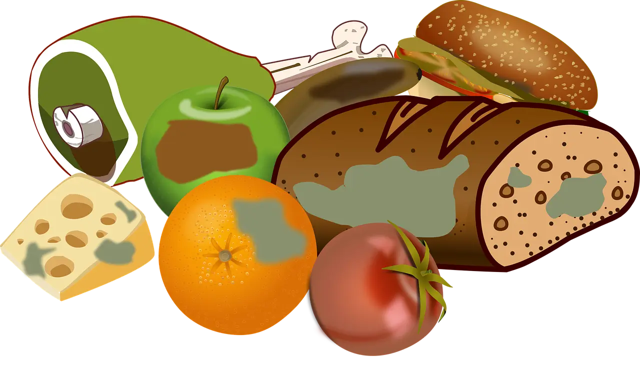 음식물 쓰레기 줄이는 스마트한 방법